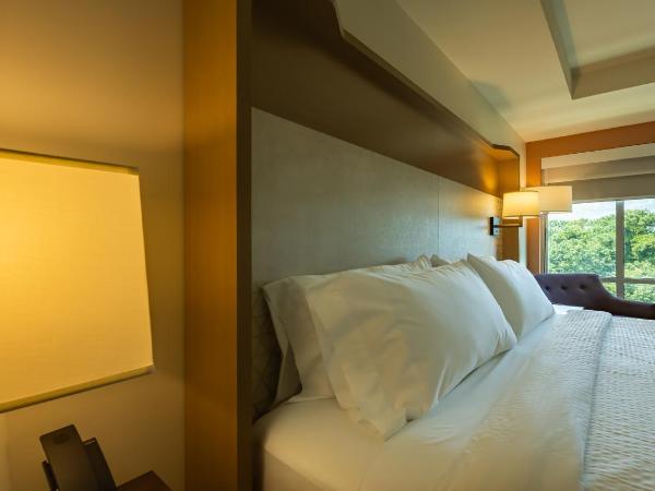 Hotel Spice & Sky Atlanta Perimeter : photo 4 de la chambre suite junior lit king-size - non-fumeurs