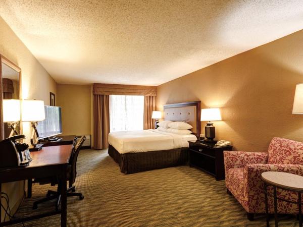 Crowne Plaza Jacksonville Airport, an IHG Hotel : photo 1 de la chambre chambre exécutive lit king-size - non-fumeurs