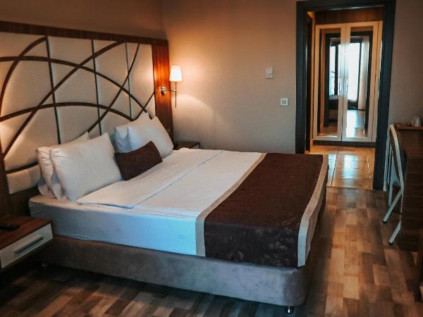 The Grand Mira Business Hotel : photo 2 de la chambre chambre lit king-size avec balcon