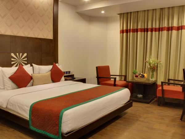 Hotel Godwin Deluxe -Near New Delhi Railway Station - Paharganj : photo 8 de la chambre chambre premier