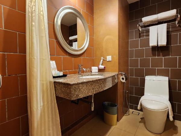 Swan Garden Hotel : photo 6 de la chambre chambre lit king-size premier