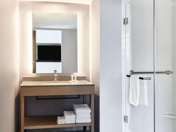Hyatt Place Phoenix/Downtown : photo 5 de la chambre suite 1 chambre lit king-size avec canapé-lit