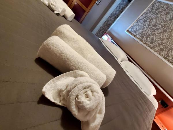 Hotel Fedora : photo 1 de la chambre chambre double standard