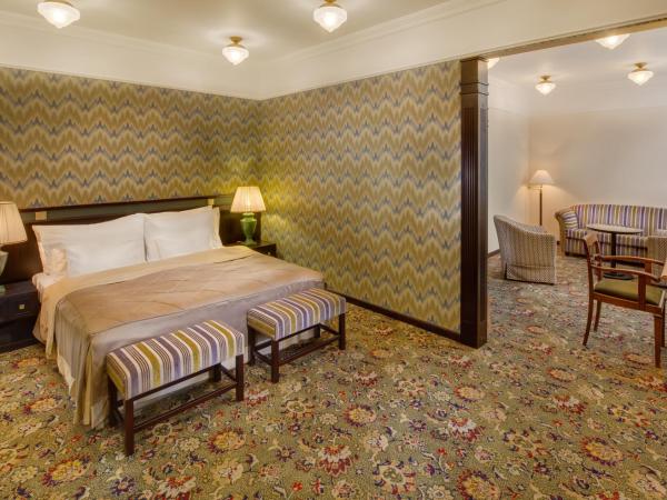 Hotel Savoy Prague : photo 1 de la chambre suite junior