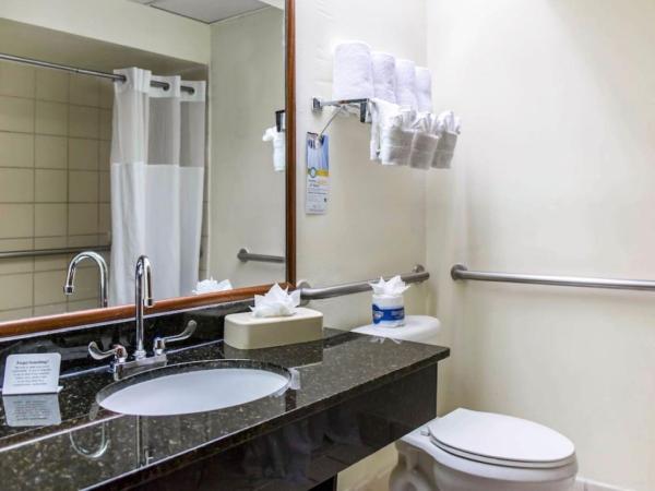 Comfort Suites Tampa - Brandon : photo 1 de la chambre suite lit king-size - accessible aux personnes à mobilité réduite - non-fumeurs