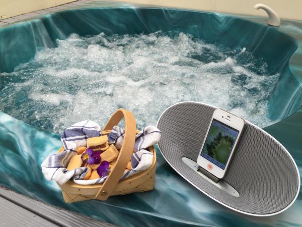 Rotorua Coachman Spa Motel : photo 8 de la chambre suite confort avec bain à remous