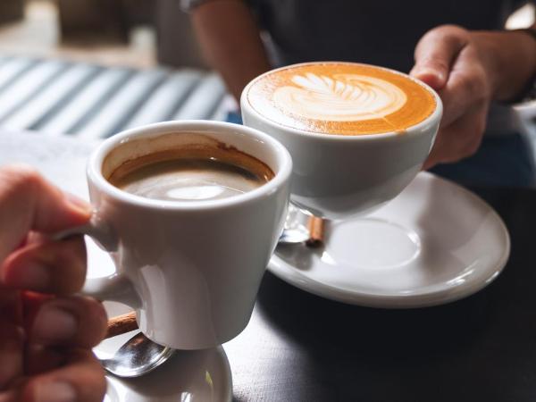 Residence Aparthotel : photo 8 de la chambre appartement supérieur