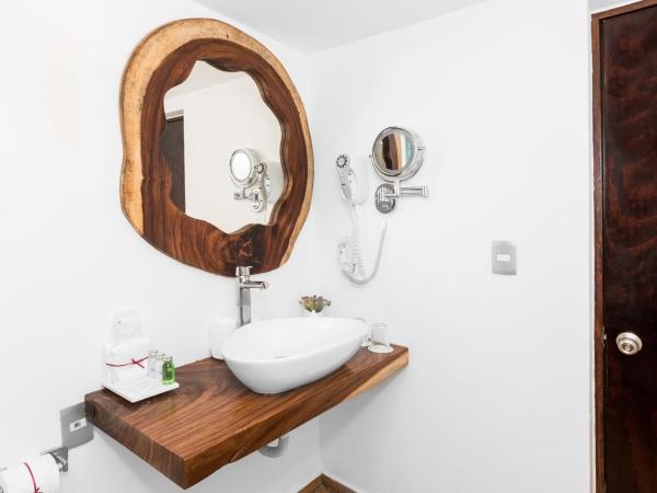 Mia Reef Isla Mujeres Cancun All Inclusive Resort : photo 4 de la chambre villa - vue sur mer