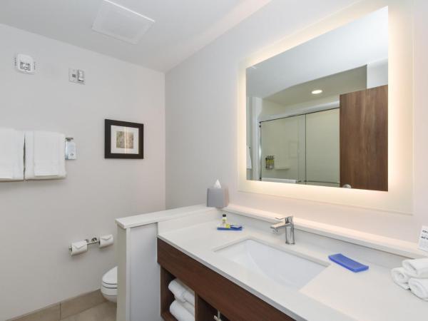 Holiday Inn Express & Suites Charlotte - Ballantyne, an IHG Hotel : photo 2 de la chambre chambre lit king-size standard