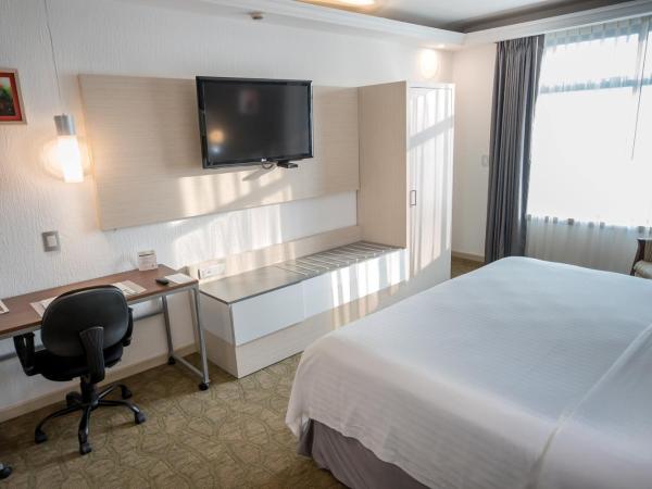 Holiday Inn Queretaro Zona Diamante, an IHG Hotel : photo 3 de la chambre chambre lit king-size standard