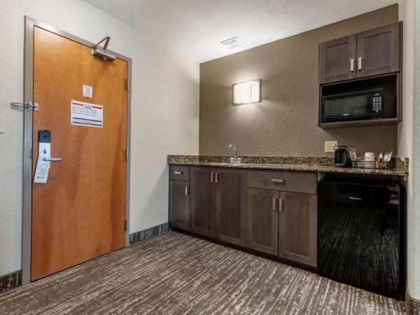 Best Western Plus Pembina Inn & Suites : photo 4 de la chambre suite lit king-size avec baignoire spa