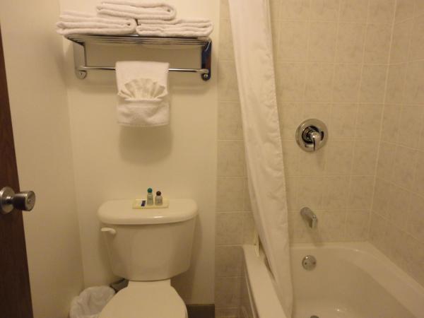 South Hill Motor Inn : photo 7 de la chambre chambre avec 2 grands lits queen-size