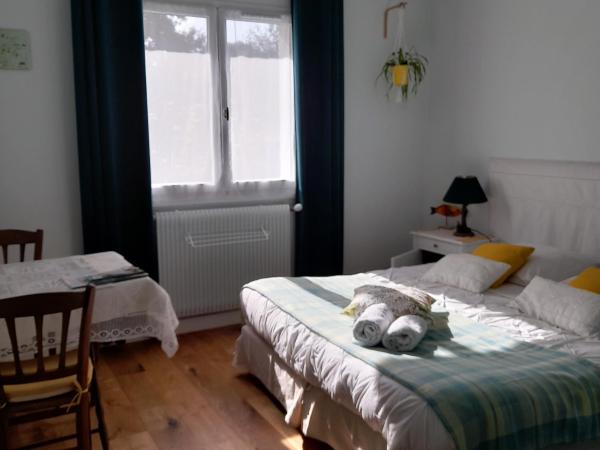 Chambres d'hôtes couleur bassin d'Arcachon : photo 5 de la chambre chambre double avec salle de bains commune - vue sur jardin