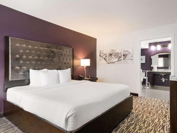 Clarion Inn & Suites Across From Universal Orlando Resort : photo 5 de la chambre chambre lit king-size - accessible aux personnes à mobilité réduite - sans frais de service