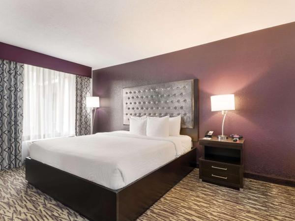 Clarion Inn & Suites Across From Universal Orlando Resort : photo 7 de la chambre chambre lit king-size - accessible aux personnes à mobilité réduite - sans frais de service