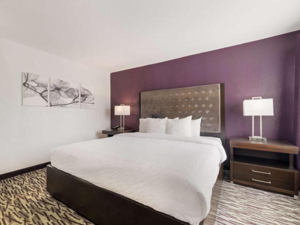 Clarion Inn & Suites Across From Universal Orlando Resort : photo 3 de la chambre chambre lit king-size - côté piscine - sans frais de service