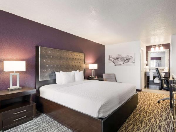 Clarion Inn & Suites Across From Universal Orlando Resort : photo 6 de la chambre chambre lit king-size - côté piscine - sans frais de service