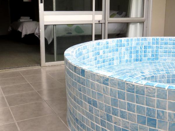 Kuirau Park Motor Lodge : photo 2 de la chambre chambre lit queen-size avec bain à remous