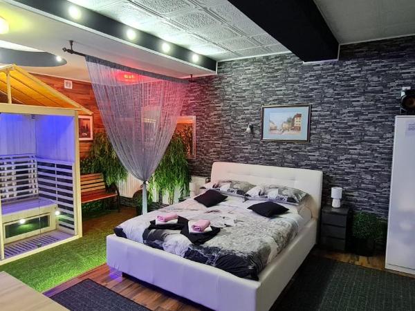 Vila Marija sobe,wellnes ap već od 115eura : photo 1 de la chambre appartement supérieur avec sauna