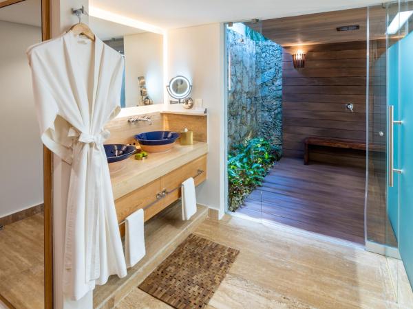 Presidente InterContinental Cozumel Resort & Spa, an IHG Hotel : photo 4 de la chambre seafront premium king room with outdoor shower