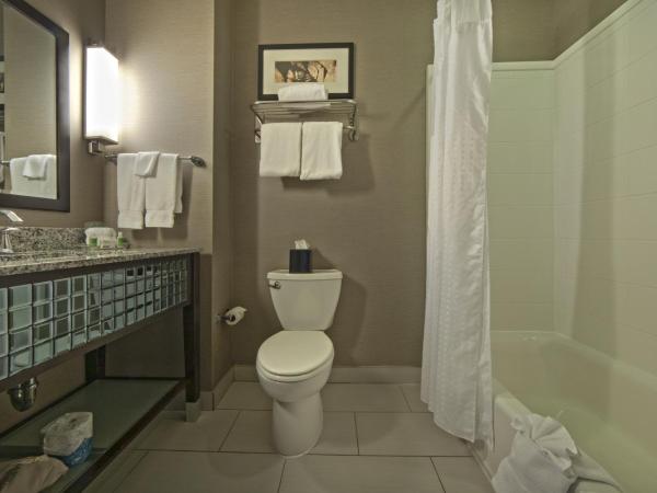 Holiday Inn Hotel & Suites Northwest San Antonio, an IHG Hotel : photo 3 de la chambre chambre lit king-size standard