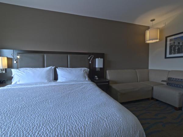 Holiday Inn Hotel & Suites Northwest San Antonio, an IHG Hotel : photo 4 de la chambre chambre lit king-size standard