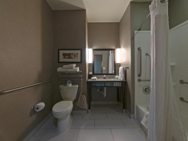 Holiday Inn Hotel & Suites Northwest San Antonio, an IHG Hotel : photo 5 de la chambre chambre standard avec 2 lits queen-size