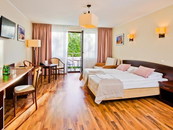 Olymp II : photo 3 de la chambre chambre lits jumeaux avec lit d’appoint - 301