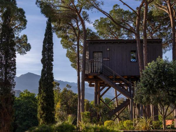 La Signoria : photo 5 de la chambre cabane dans les arbres