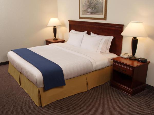Holiday Inn Express Hotel & Suites Jacksonville Airport, an IHG Hotel : photo 5 de la chambre suite lit queen-size exécutive