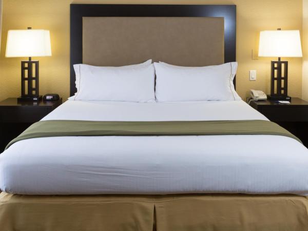 Holiday Inn Express Hotel & Suites Jacksonville Airport, an IHG Hotel : photo 1 de la chambre suite lit queen-size avec canapé-lit