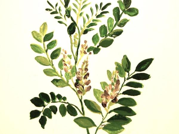 Il Guiscardo B&B : photo 10 de la chambre chambre double ou lits jumeaux