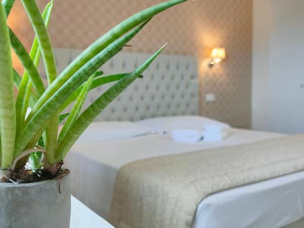 Nuova Opera Rooms : photo 4 de la chambre chambre double ou lits jumeaux - vue sur ville