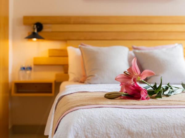 ArcoSodi Hotel Boutique : photo 5 de la chambre chambre standard lit queen-size