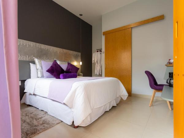 ArcoSodi Hotel Boutique : photo 7 de la chambre chambre standard lit queen-size