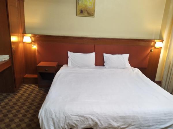 Jagat Hotel : photo 6 de la chambre chambre double ou lits jumeaux standard