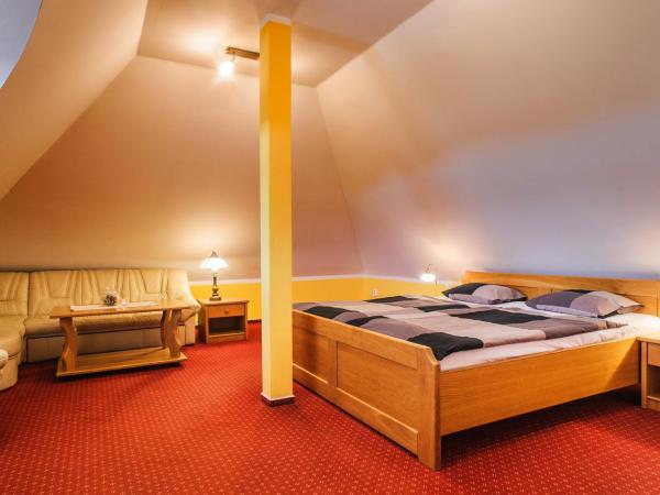 Penzion Lhotka : photo 7 de la chambre chambre double deluxe