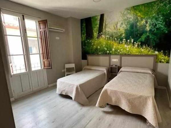 Hostal Viena Plaza Nueva : photo 1 de la chambre chambre lits jumeaux Économique