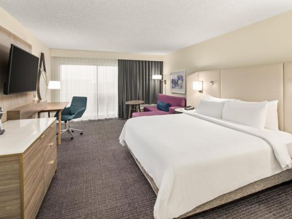 Crowne Plaza Orlando - Lake Buena Vista, an IHG Hotel : photo 5 de la chambre chambre lit king-size exécutive