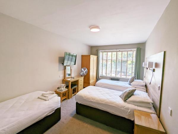 Hotel Celebrity Bournemouth East Cliff by Villare hotels : photo 1 de la chambre chambre triple standard