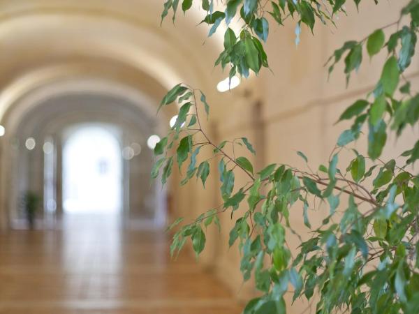 Les Chambres de l'Abbaye : photo 5 de la chambre chambre lits jumeaux