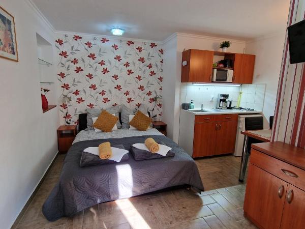 Veronika Villa : photo 7 de la chambre studio avec vue sur jardin