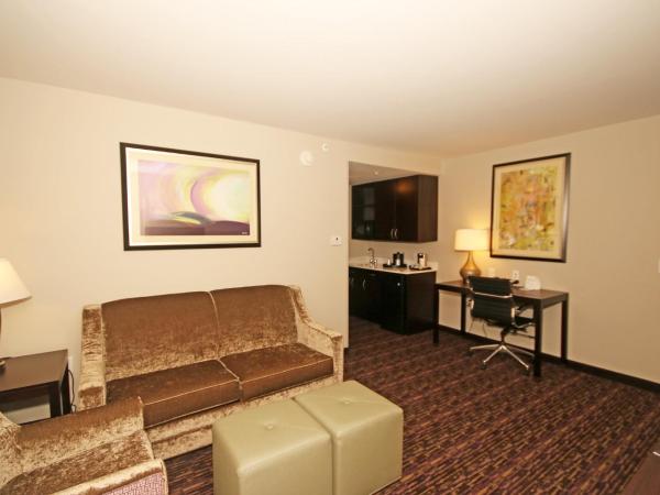 Holiday Inn Express & Suites Charlotte North, an IHG Hotel : photo 2 de la chambre suite 1 chambre lit king-size avec canapé-lit