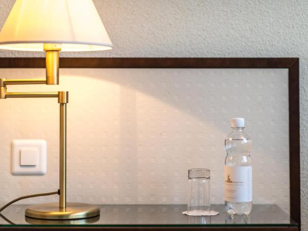 Seehotel Sternen : photo 2 de la chambre chambre double ou lits jumeaux - vue sur lac