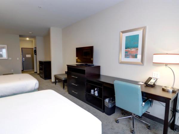 Holiday Inn Express & Suites Austin South, an IHG Hotel : photo 2 de la chambre suite lit queen-size exécutive