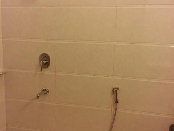 Hotel Arina Inn : photo 2 de la chambre chambre simple deluxe