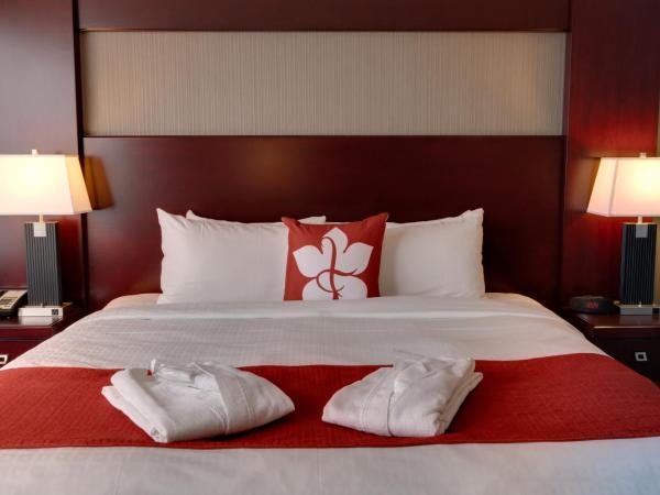 Chateau Lacombe Hotel : photo 3 de la chambre chambre lit king-size deluxe