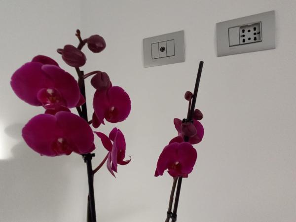 Villino Liber : photo 6 de la chambre chambre double avec salle de bains privative