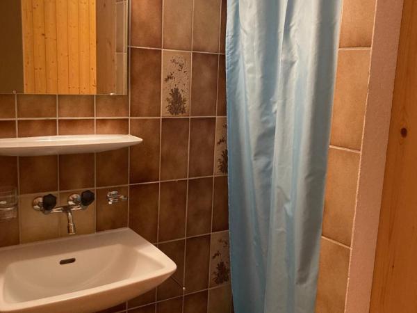 Engelberg Youth Hostel : photo 4 de la chambre chambre simple avec douche 