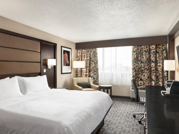 Holiday Inn Louisville East - Hurstbourne, an IHG Hotel : photo 3 de la chambre chambre lit king-size - accessible aux personnes à mobilité réduite / adapté aux malentendants
